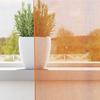 VidaXL Sheer Curtains with Eyelets 2 Pcs Orange 140x225 Cm, Net Curtain, Transparent Curtain, Window Voile, 4102091