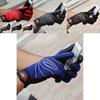 Hochwertige winddichte, winterwarme, wasserdichte Handschuhe für Outdoor-Sportarten