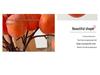 Persimmon Fruit Flower Arrangement: New Year's Dried Floral Decoration