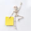 3D Printed Skeleton for Refrigerator - Home Decor Ornament