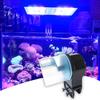 Praktischer automatischer Futterspender für Fische, 12 h/24 h, 2 Farben, Zubehör für Aquarien