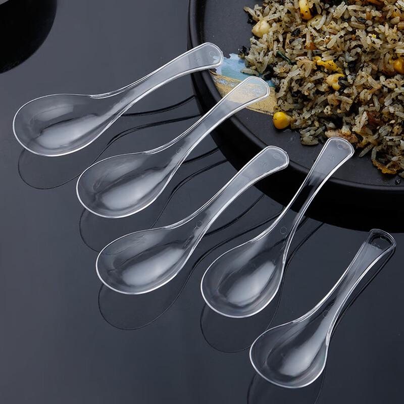 Penguin Group Individually Wrapped Disposable Crystal Dessert Spoons, 200 Count