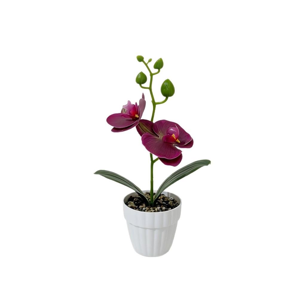 Butterfly Orchid Artificial Flower Pot With Realistic 3d Printing For Home Decor And Photography