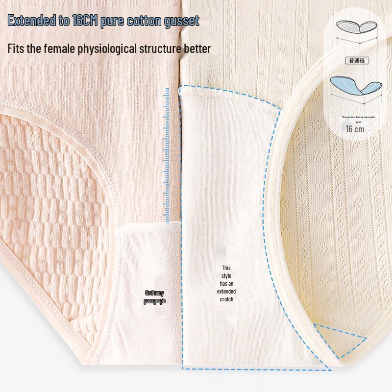 Damen Antibakterieller Modal-Baumwoll-Mittelbund-Spitzenslip