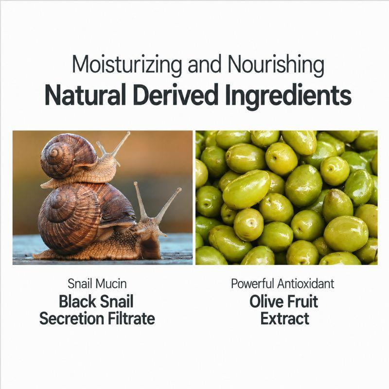 ANJO Natural Cover Snail Sun BB Cream SPF50+ PA+++ 50g – High Coverage Tone-Up BB Cream with UV Protection