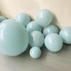 Beauty of the Sea 12-inch Ice Blue Balloons