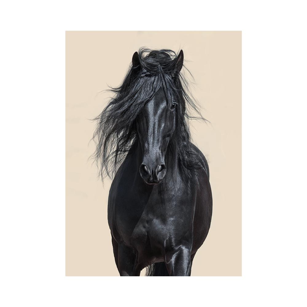 Black and White Horse Poster Print Canvas Painting Horses Running Animal Wall Art Picture for Farmhouse Room Home Decor