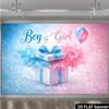 2D plane gender reveal party banner background - blue and pink gradient blending theme, indoor and outdoor theme parties