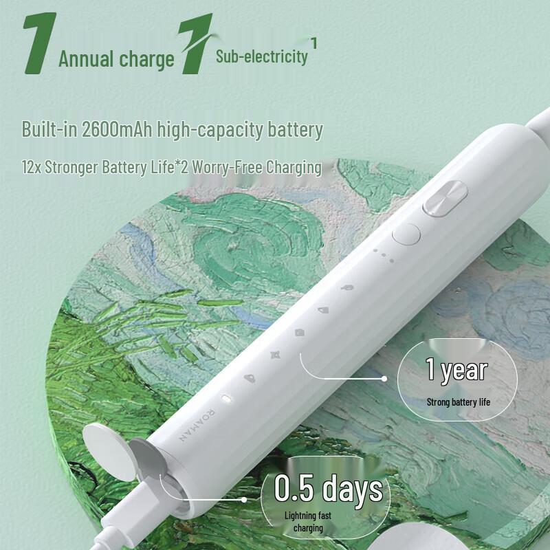 ROAMAN E30 Smart Sonic Electric Toothbrush CN plug (adapter included)