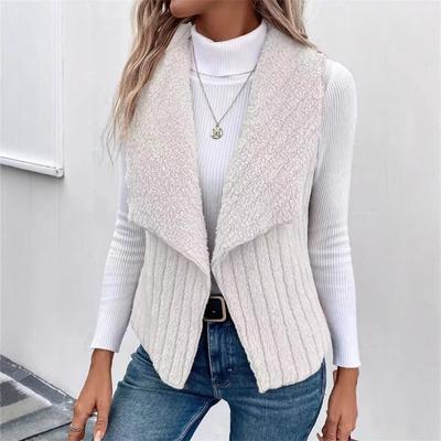 2025 Outono e Inverno Nova Moda Casual Simples Sem Mangas Versátil Colete Jaqueta