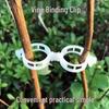 Grafting Clip for Tomato and Cucumber Vines