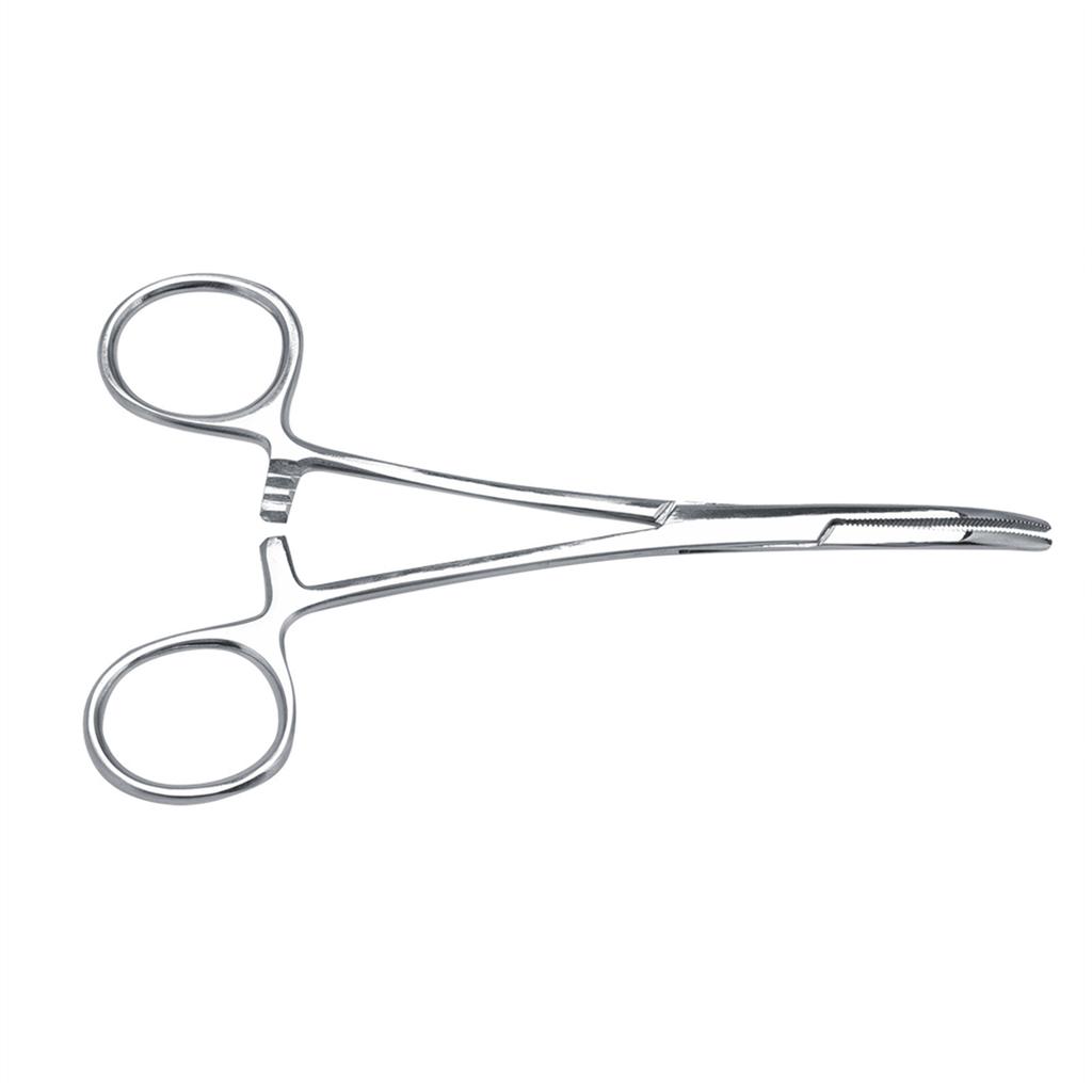 Pince à épiler en acier inoxydable pour animaux de compagnie, pince de nettoyage à pointe incurvée pour oreilles de chien et de chat