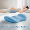 1Pc Special Lumbar Support Cushion Sleep Lumbar Pillow Lumbar Protrusion Back Support for Waist - Home/Office Supplies