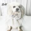 Comfortable Dog Bathing Mask Face Mesh Net, Anti Eating Pet Headgear, Breathable Adjustable Fashionable Headwear for Training Head Cover Small Medium
