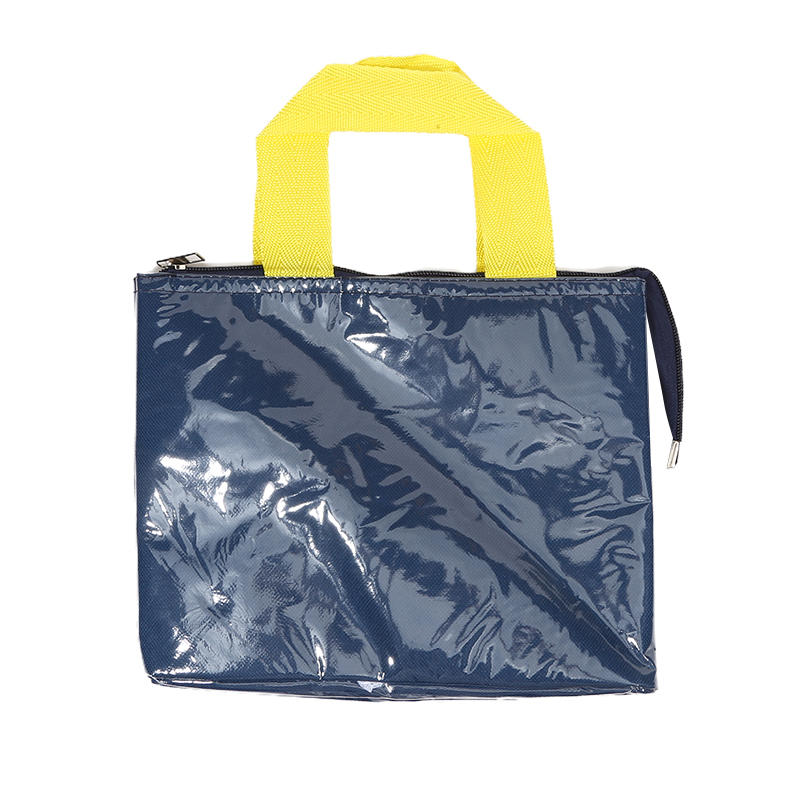 Fashion Travel Picnic Portable Thermal Bento Tote Bag Large Capacity Simple Thickened Waterproof Lunch Organizer Bag