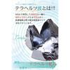 OVER-9 Terahertz Bracelet 6mm Tested by Public Institutions! High Purity 99% Men's Women's Accessories Terahertz Ore Round Ball Raw Stone Power Stone