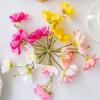 10Pcs Artificial Flowers Silk Jasmine Scrapbooking Wedding Outdoor YardGarden Home Room Decor Festival Wreath Bridal Accessories