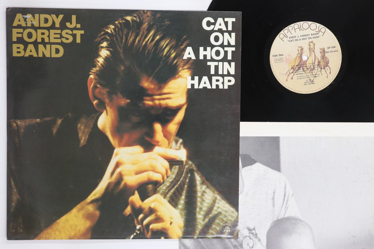 

LP Record ANDY J. FOREST BAND Cat On A Hot Tin Harp AP056 APPALOOSA 1987 Italy Blues Used
