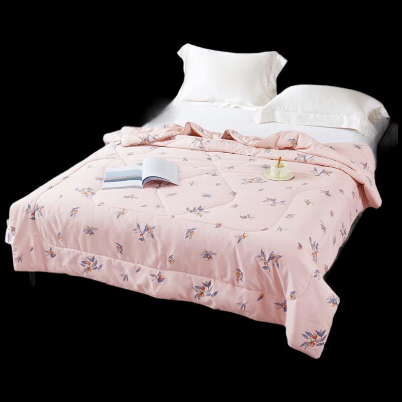 Jin Si Li Fiber New Skin Spring Summer Quilt