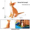 Three-Color Animal Model Plush Cat Toy - British Shorthair, Siamese, Persian, Orange, and Leopard Cat Simulation for Kids.