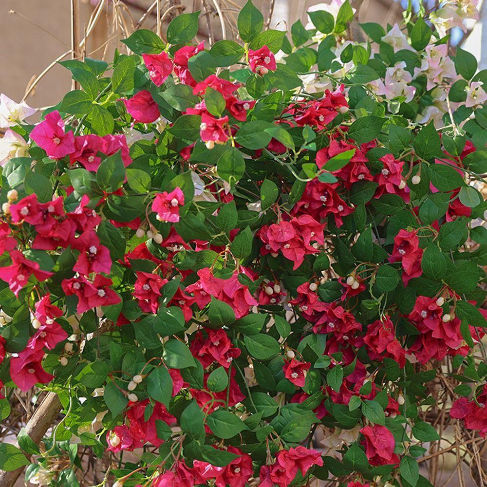 Multicolor Bougainvillea Artificial Flower Vine Hanging Decoration Photo Props Simulation Flower Vine Green Leaves Ornament