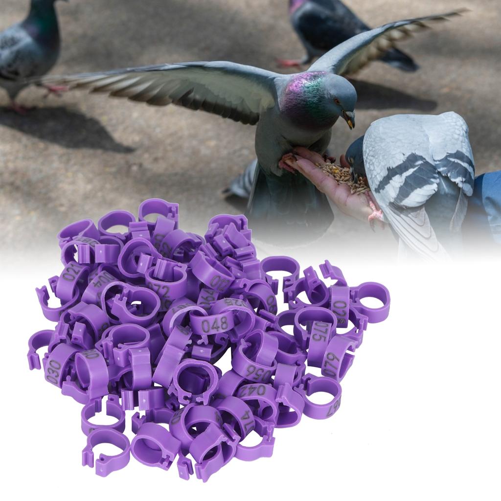 100 Stück Vogel Fußringe Nummernidentifikation Taube Beinbänder Geflügel Clip Ring Lila