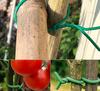 TG77619 Garden wire, garden garter, rope with cutter 20m