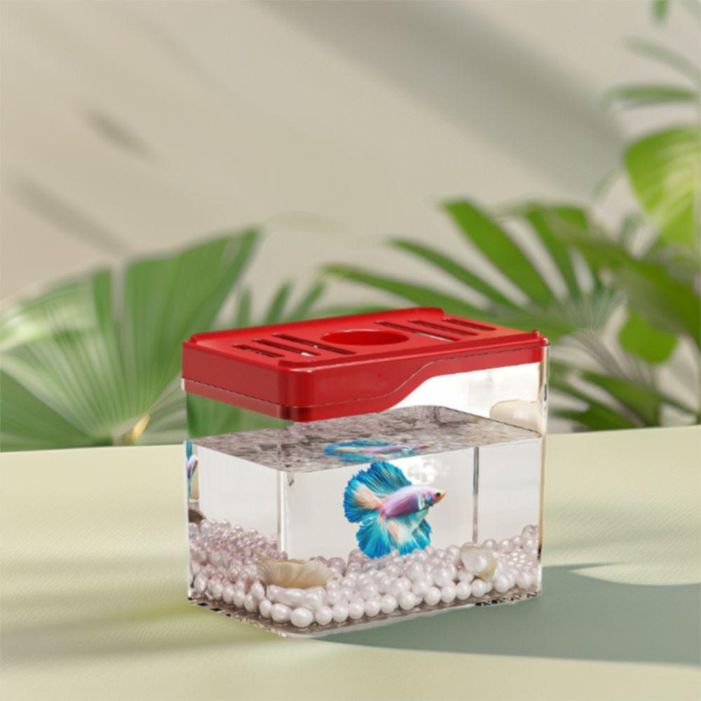 Drop Resistant Desktop Fish Tank Shatterproof Turtle Tank Office Ecological Tank Home