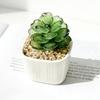 Mini Glass Planter Desktop Ornaments Small Exquisite Craftsmanship Bright Colorful Handmade Texture for Office Bedroom Living Room Home Decor Gift