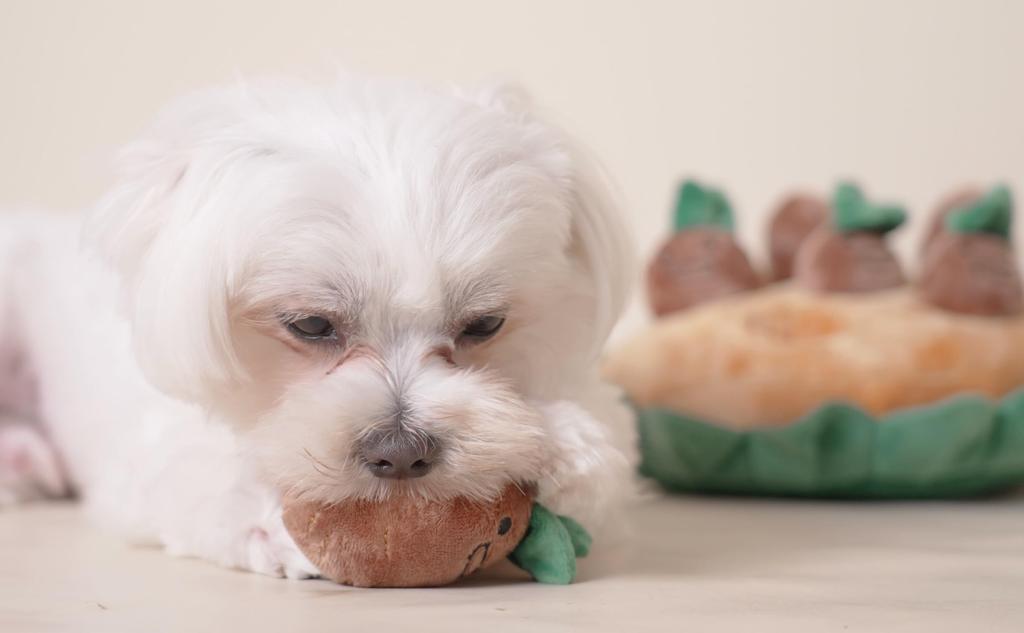 Haremaru Dog Potato Field Potato Educational Pet Stress Treat Squeaky Plush Toy Toy, Digging, Nosework, Toy, Relief, Hunting,