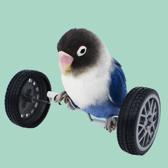 Yousheng Parrot Balance Toy Mini Double Row Roller Skates Pet Small Bird Intelligence Interactive Training Toy Rotary Wheels Bird Bicycle