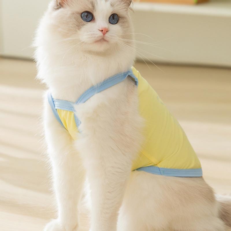 Spring and Summer Cat Clothes Cute Luminous Bear Sunscreen Sling Clothes