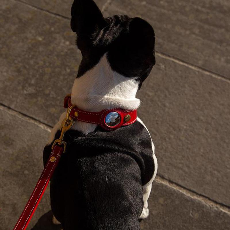 Luxus Echtes Leder Airtags Haustierhalsband Verstellbare Hundehalskette Für Welpen Mittelgroßen Hund Anti-Verlust Haustierhalsband Mit Airtag-Halter