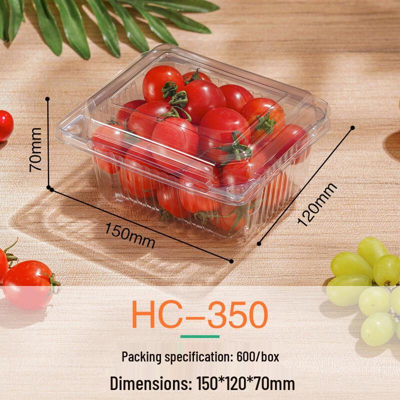 Clear Rectangular Disposable Food Containers with Lids