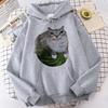 Felpe con cappuccio stampate Gatto Anguria Gatto Stupido Meme Abbigliamento Streetwear Gotico Casual Anni '90 Felpe con cappuccio Grafiche Y2k da Donna