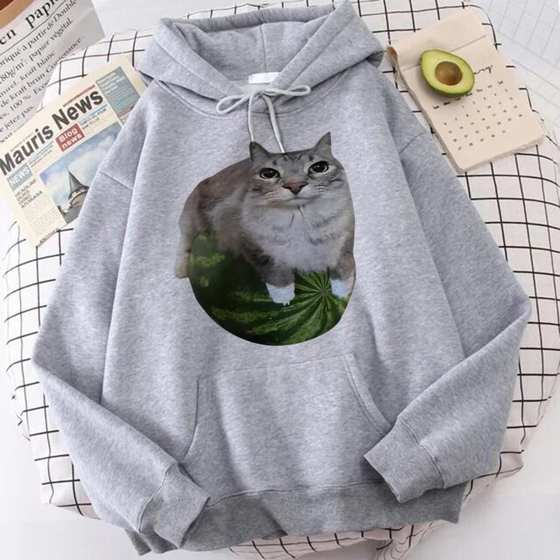 Felpe con cappuccio stampate Gatto Anguria Gatto Stupido Meme Abbigliamento Streetwear Gotico Casual Anni '90 Felpe con cappuccio Grafiche Y2k da Donna