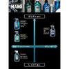 MARO Deo Scalp Shampoo for Men Cool Green Mint Scent 400ml Silicone-Free Foam