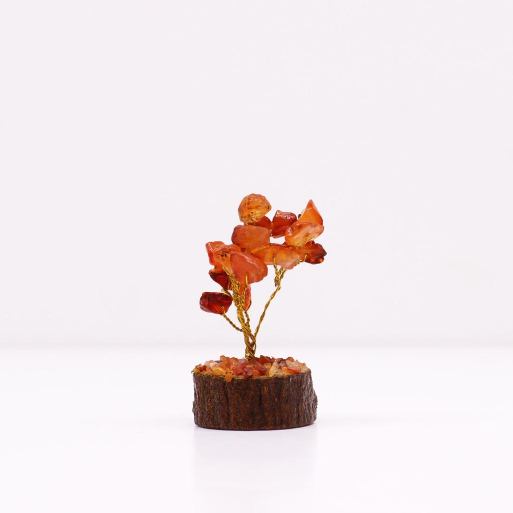 Carnelian Gemstone Tree With Wood Base 15 Stones