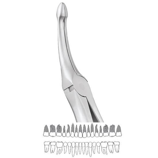 GDC Extraction Forceps Upper Roots - 944.01 Secure (Sfx944.01)