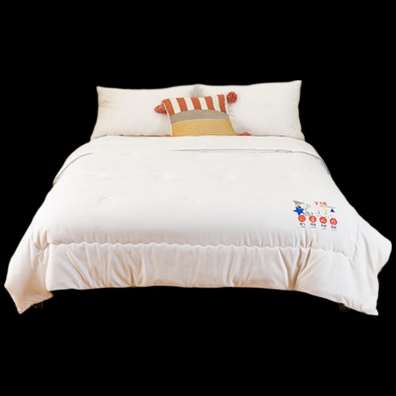 Snoopy Travel Cashmere Quilt