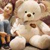Bebek ve Peluş Oyuncaklar – Doldurulmuş ve Peluş oyuncak hayvanlar