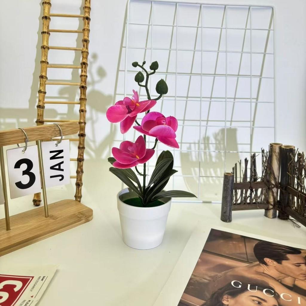 Artificial Plastic Phalaenopsis Flower Bonsai For Event Decoration Home Styling