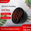 Gady – Terraria dla gadów