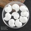 Colorful Ceramic Conch Shell Beads: Loose Snail Beads for Handmade DIY Jewelry and Accessories