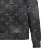 Louis Vuitton 2010s Monogram long-sleeve hoodie 1A8HDT