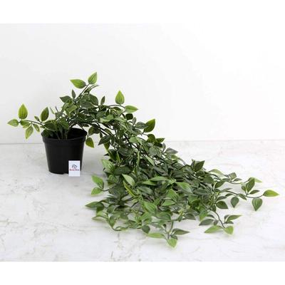 Home Artificial Vine;Pine;Fern;Ivy Plants with Pot Natural Look & Plastic Material  with Small Size Pot Size 27 X 75 X 7 Cm, Pack of 1 (Green)