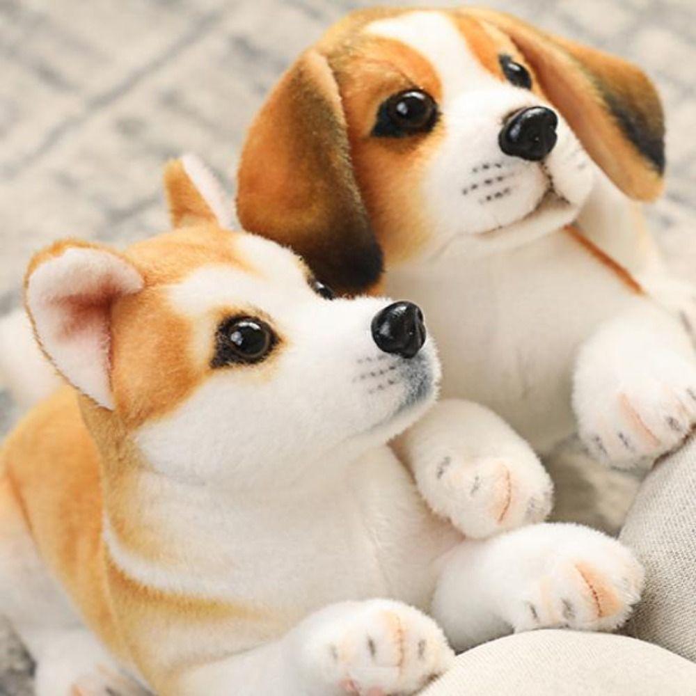 Realistic Appearance Simulation Dog Plush Toy Husky Puppy Doll Cute Stuffed Animal Toy  Home Decor