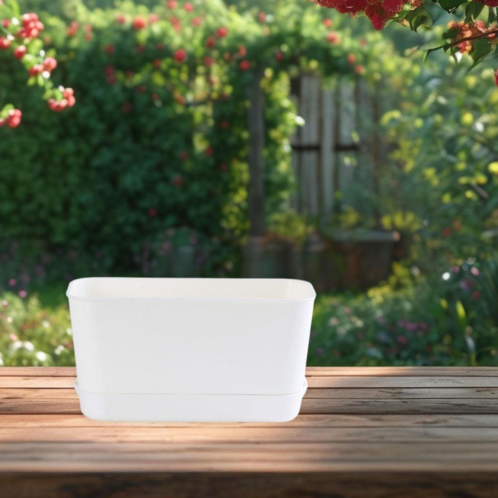 Rectangular Planter Box for Growing Vegetables On Windowsill And Balcony