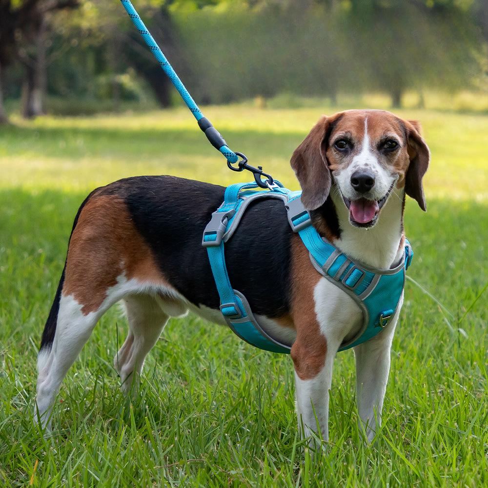 

Pet Dog Leash, Vest-style Chest Strap XL червоний