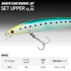 Daiwa Shoreline Shiner Z Set Upper Slim 95S Adel Gold Rainbow